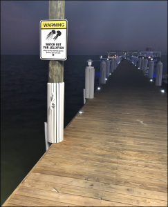 Знак предупреждает о возможных медузах.