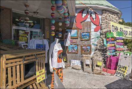 Флоридский магазин сувениров.