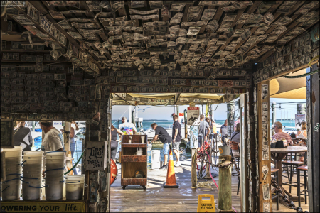 Потолок, обклеенный настоящими долларами в местечке Robbie's Marina.