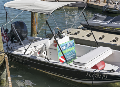 Цапля выбрала себе лодку.