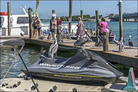 Гавань возле Robbie's Marina.