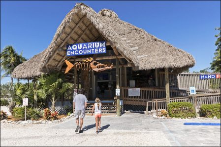 Вход в аквариум Florida Keys Aquarium Encounters.