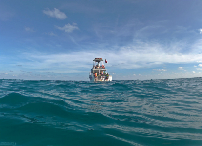 Снорклинг тур от компании Keys Diver Snorkel & Scuba.