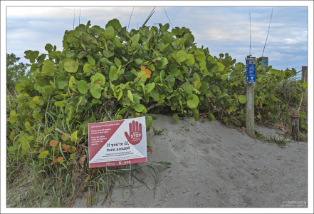 Если вы заболели - не выходите на пляж.