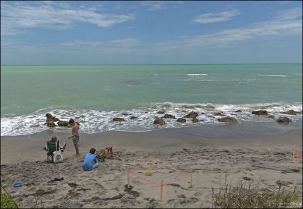 Поиск акульих зубов на пляже Venice beach.