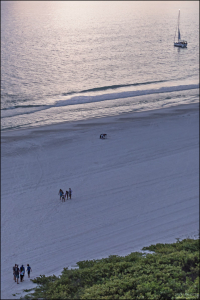 Большую часть года на побережье Мексиканского залива преобладает теплая и жаркая погода (+23С в январе, +35С в августе).