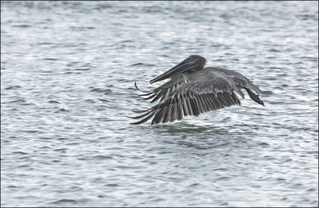 На бреющем.