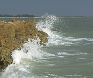 Каменный мыс на кончике пляжа South beach, Marco Island.