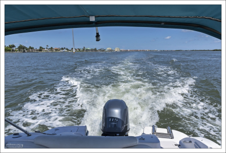 Аренда моторной лодки в компании Dolphin Cove Marina.