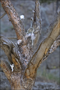 Молитвенные предметы, которые местные индейцы привязывают на деревья. Используются в качестве подношения духам жилища, гор или рек.