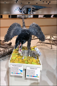 Сцена охоты Ахерораптора на сумчатого Дидельфодона. Оба вымерли около 66 млн. лет назад.