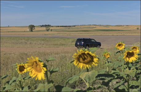 В прошлом году урожай подсолнечника в Северной Дакоте составил колоссальные 1,1 миллиарда фунтов.