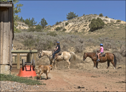 Возвращение в конюшню после часовой прогулки на лошадях.