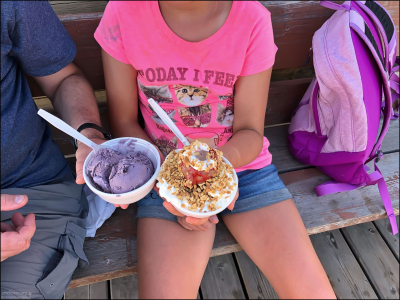 В Медоре делают очень вкусное черничное мороженое (huckleberry ice cream).