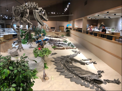 Краеведческий музей в городе Dickinson, Северная Дакота.