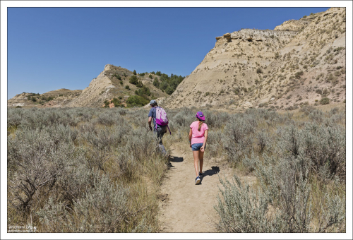 Берег реки Little Missouri river весь в зарослях серебристого шалфея.