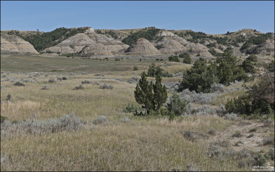 Теодор Рузвельт писал, что "бесплодные земли не принадлежат этой земле". В других районах Северной Америки также есть badlands - в Юж. Дакоте, Небраске, Монтане и Альберте (Канада).
