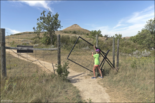 Начало тропы Petrified Forest Trail. На входе необычные ворота - lift gate, которые открываются не в бок, а вверх.