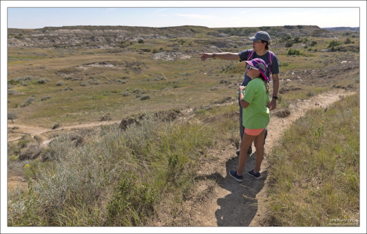С самой высокой части тропы уже видны окаменелые деревья.