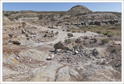 Это не камни, а окаменевшие пни. Национальный парк Теодора Рузвельта является третьим местом по концентрации окаменелого дерева в Соединенных Штатах.