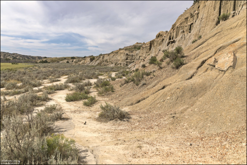 Северная часть парка Теодор-Рузвельт. Стена Cannonball Concretions.