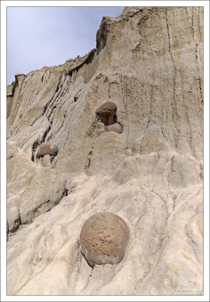 Геологическое образование "конкреция", прозванное в народе "пушечное ядро".