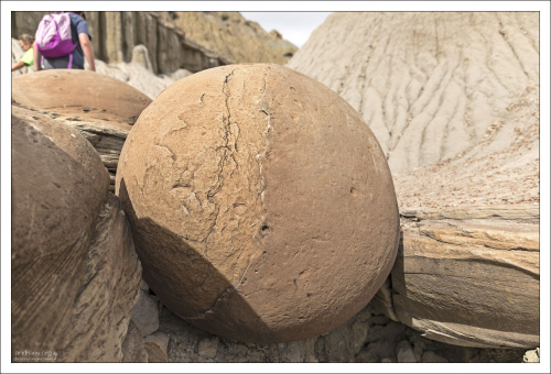 В центре конкреции нередко находится включение органического состава, которое послужило затравкой для начала её роста (кусок ракушки или лист).