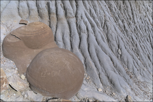 Вандализм в виде граффити карается в парке денежным штрафом.