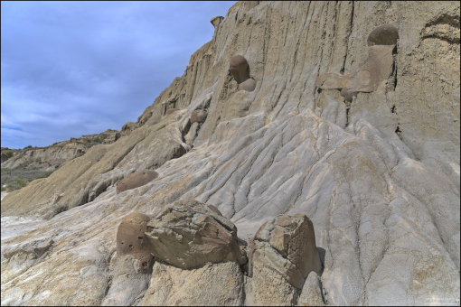 Конкреции обычно состоят из минерала, присутствующего в качестве второстепенного компонента вмещающей породы. Например, конкреции в песчаниках или сланцах обычно образованы из кальцита, как здесь.