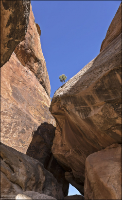 Конец тропы Devils Kitchen trail.