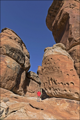 На фоне башен разных размеров из красно-оранжевого песчаника в Devils Kitchen.