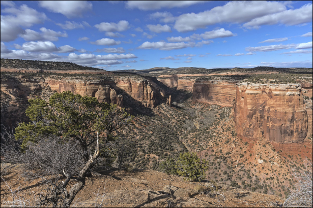 Каньон Ute с высоты обзорной площадки.