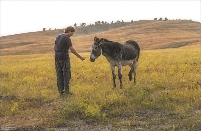 Большой ослик выбрал Большого Человека :)