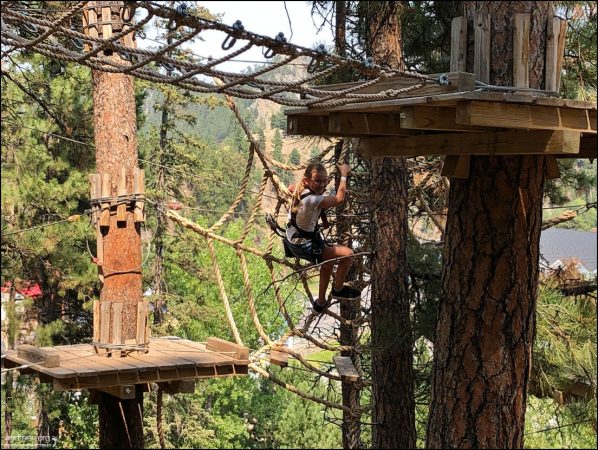 Выгнала всех пауков, забрала сетку себе.