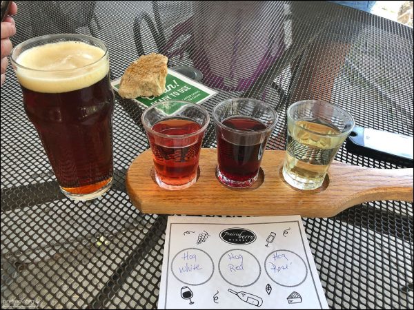 Дегустация местного вина и пива в винарне "Prairie berry", Рапид-сити, Южная Дакота.