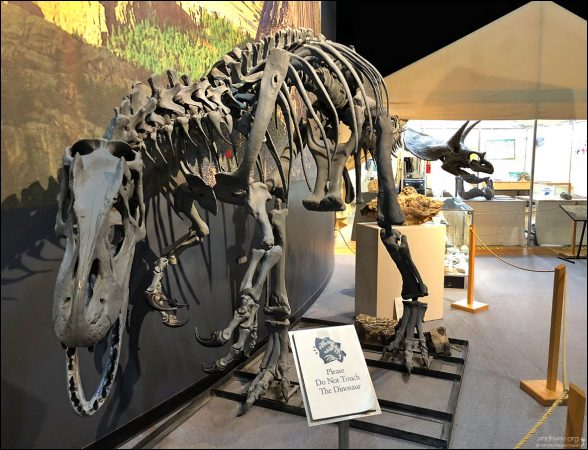 Динозавры, которые жили на территории современной Южной Дакоты 250 млн лет назад.