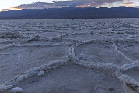 Гексагональные соляные образования. При высыхании соляного раствора за счёт силы поверхностного натяжения образуются лужи гексагональной формы, похожие на пчелиные соты.