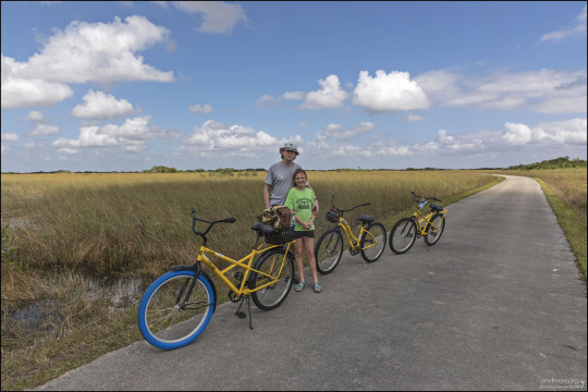 Shark Valley Loop Trail – основная велосипедная тропа через парк Everglades.
Длина: 24 км (15 миль).
Тип маршрута: Кольцевой.
Покрытие: Асфальтированная дорога.
Уровень сложности: Лёгкий, подходит для всех уровней.
