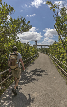 На пути к смотровой башне Shark Valley Observation Tower в середине маршрута.