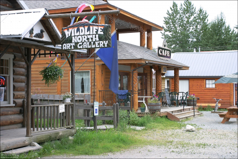 Дорожные сервисы в городке Talkeetna.