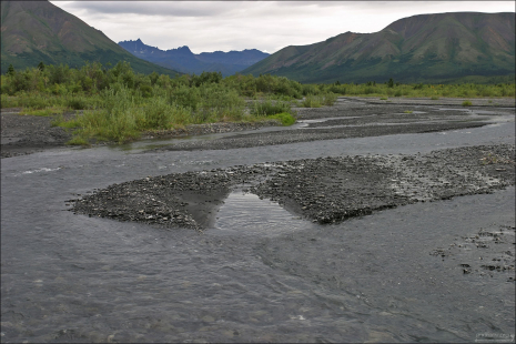 Разветвлённое русло реки.