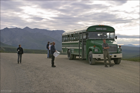 Автобус для кемперов - camper bus в парке Денали.