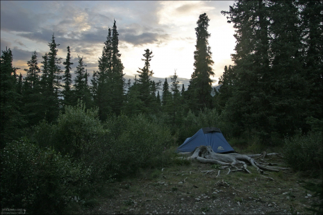 Палатка в кемпинге Savage river campground.