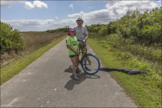 Илья и Саша пытаются не наступить на хвост аллигатора.