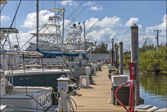 Key Largo Fisheries работает как оптовый и розничный рынок, предлагая улов местных рыбаков: креветки, каменные крабы, лобстеры, махи-махи, снаппер, тунец, и многое другое.