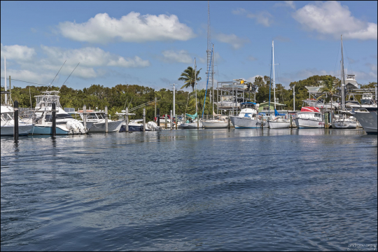 Key Largo Fisheries — это не туристическая ловушка, а место, куда приезжают местные жители за качественными морепродуктами.