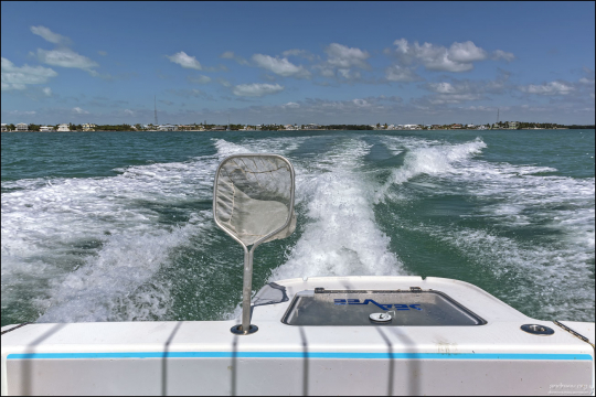 На лодке с веселеньким названием "Twice Bitten" - "Дважды укушенный".