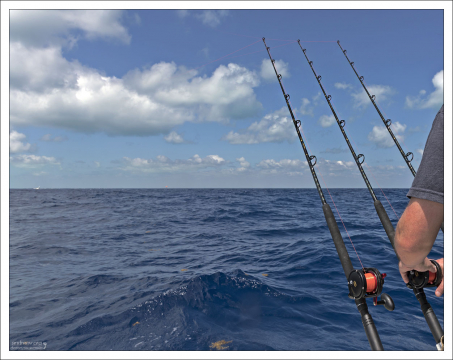 Тройной комплект удочек.