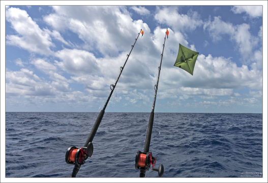 Один из самых эффективных методов поверхностной ловли крупной рыбы в океане - при помощи воздушных змеев (fishing kite).
Змей держит приманку на поверхности воды, заставляя её подпрыгивать и скользить, как настоящая рыбка, убегающая от хищника.
Это особенно действенно при ловле рыб-парусников, которые атакуют добычу у поверхности.