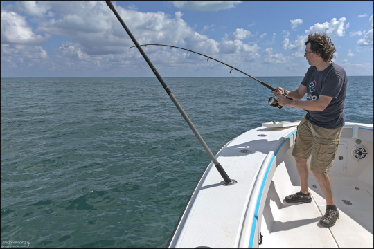 Илья вываживает первый трофей - светлого луциана.